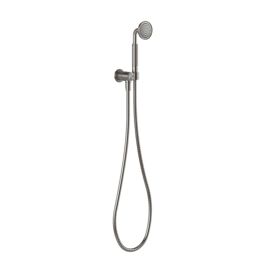 Wiltern Hand Shower (Brushed Carbon)