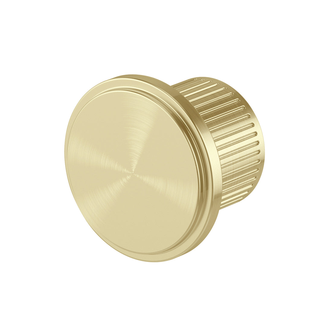 Wiltern Robe Hook (Brushed Gold)