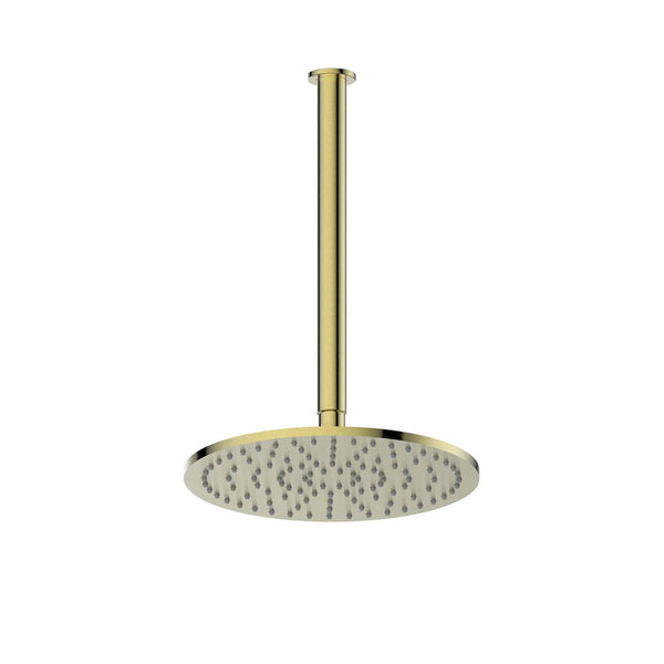 Lavish Ceiling Shower Arm & Rose in Brushed Brass